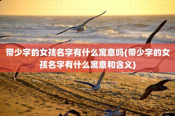 带少字的女孩名字有什么寓意吗(带少字的女孩名字有什么寓意和含义)