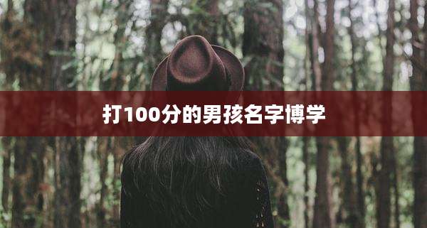 打100分的男孩名字博学