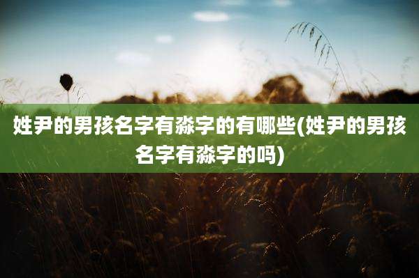 姓尹的男孩名字有淼字的有哪些(姓尹的男孩名字有淼字的吗)