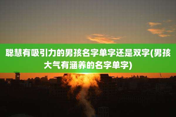 聪慧有吸引力的男孩名字单字还是双字(男孩大气有涵养的名字单字)
