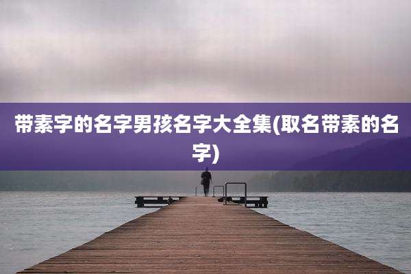带素字的名字男孩名字大全集(取名带素的名字)
