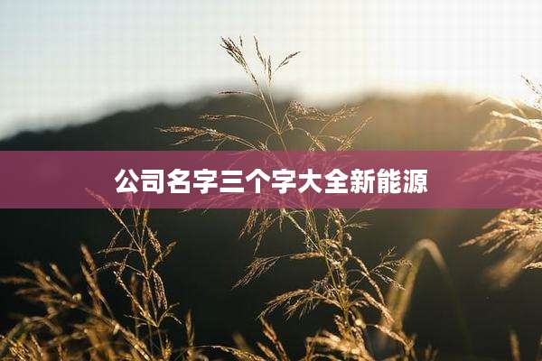公司名字三个字大全新能源