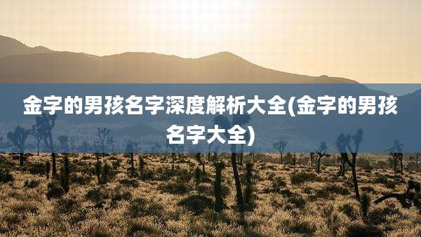 金字的男孩名字深度解析大全(金字的男孩名字大全)