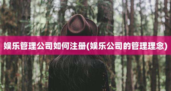 娱乐管理公司如何注册(娱乐公司的管理理念)