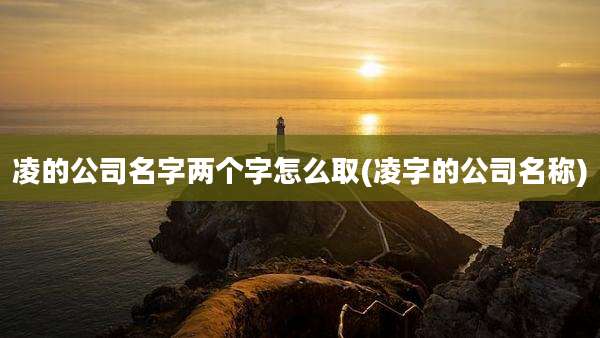 凌的公司名字两个字怎么取(凌字的公司名称)