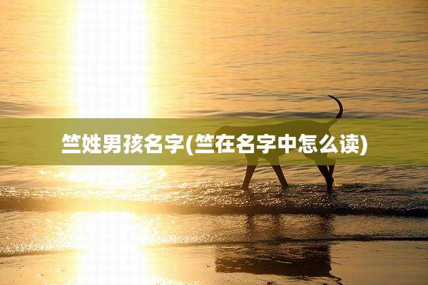 竺姓男孩名字(竺在名字中怎么读)