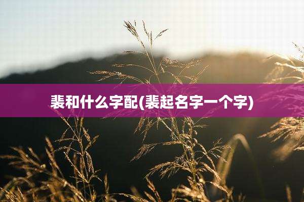 裴和什么字配(裴起名字一个字)