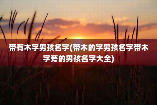 带有木字男孩名字(带木的字男孩名字带木字旁的男孩名字大全)
