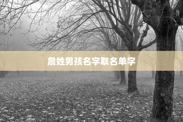 詹姓男孩名字取名单字