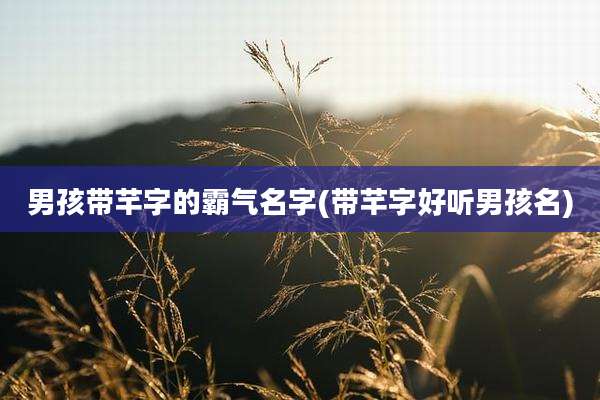 男孩带芊字的霸气名字(带芊字好听男孩名)