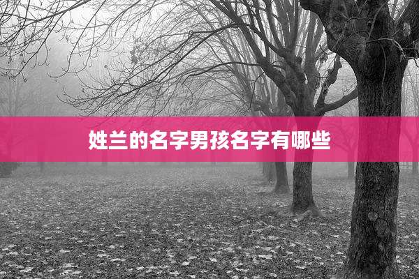 姓兰的名字男孩名字有哪些