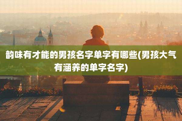 韵味有才能的男孩名字单字有哪些(男孩大气有涵养的单字名字)
