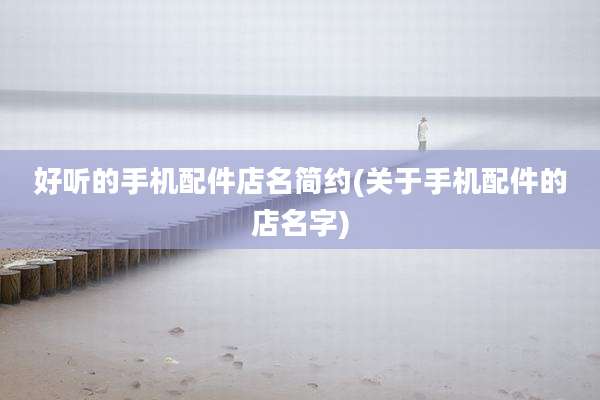 好听的手机配件店名简约(关于手机配件的店名字)