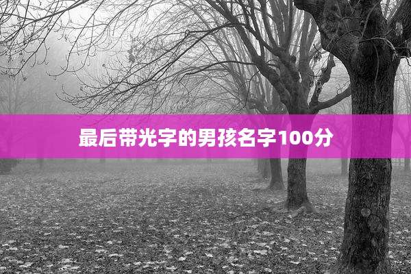 最后带光字的男孩名字100分
