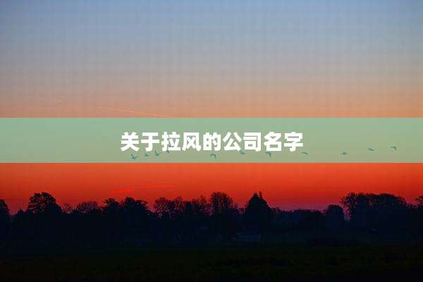 关于拉风的公司名字