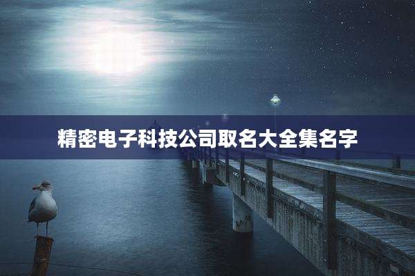 精密电子科技公司取名大全集名字
