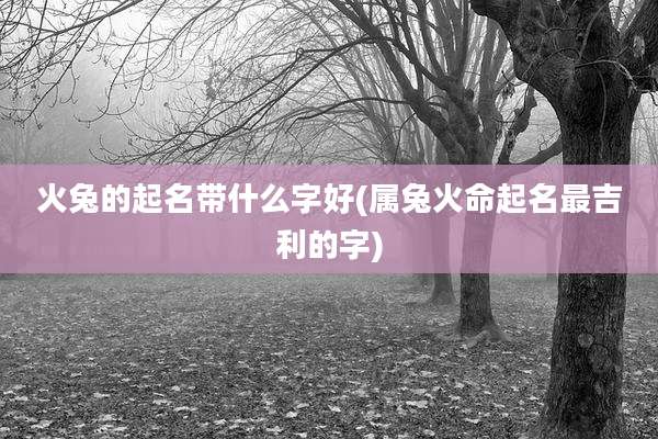 火兔的起名带什么字好(属兔火命起名最吉利的字)