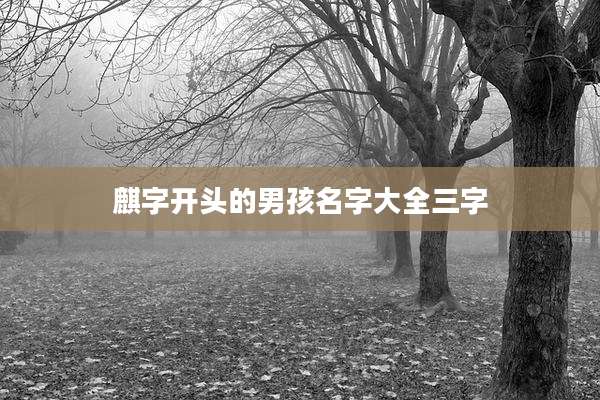 麒字开头的男孩名字大全三字