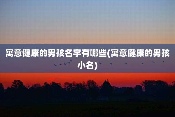 寓意健康的男孩名字有哪些(寓意健康的男孩小名)