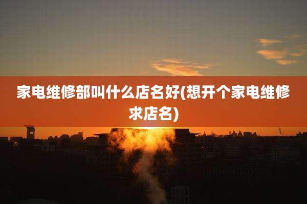 家电维修部叫什么店名好(想开个家电维修求店名)