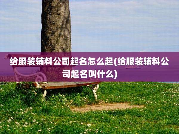 给服装辅料公司起名怎么起(给服装辅料公司起名叫什么)