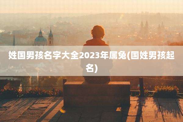 姓国男孩名字大全2023年属兔(国姓男孩起名)