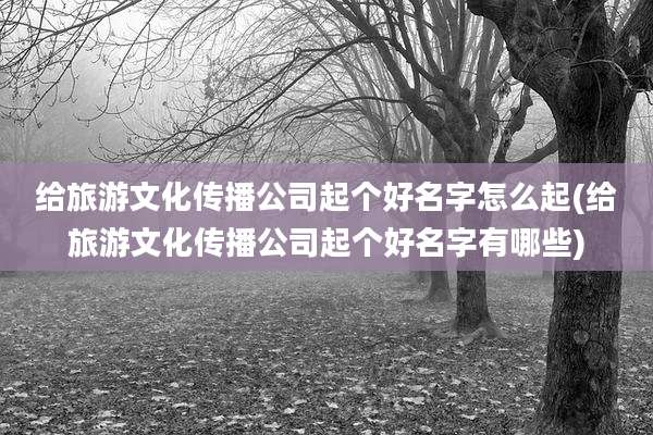 给旅游文化传播公司起个好名字怎么起(给旅游文化传播公司起个好名字有哪些)