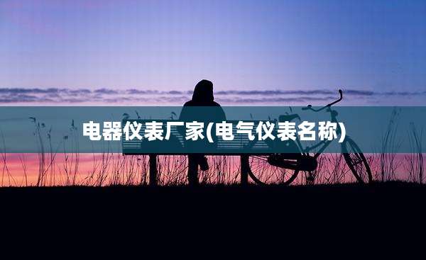 电器仪表厂家(电气仪表名称)