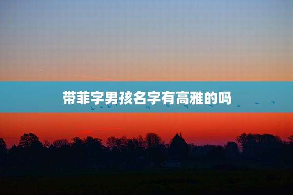 带菲字男孩名字有高雅的吗