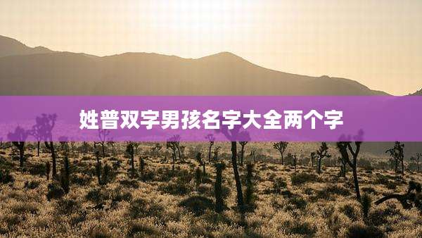 姓普双字男孩名字大全两个字
