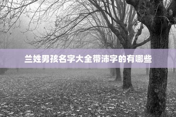 兰姓男孩名字大全带沛字的有哪些