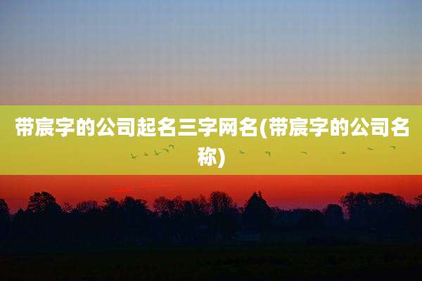 带宸字的公司起名三字网名(带宸字的公司名称)