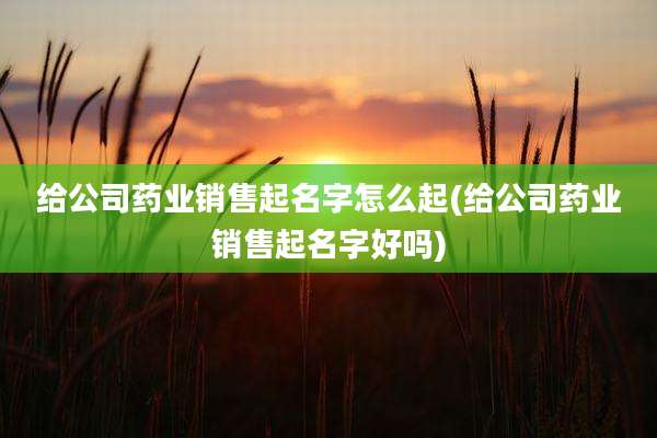 给公司药业销售起名字怎么起(给公司药业销售起名字好吗)
