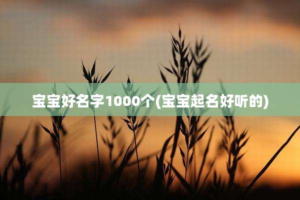 宝宝好名字1000个(宝宝起名好听的)