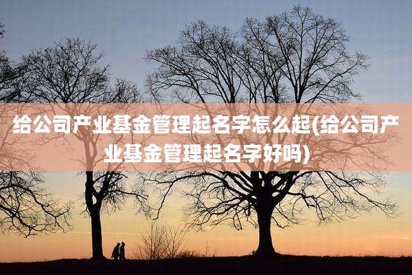 给公司产业基金管理起名字怎么起(给公司产业基金管理起名字好吗)