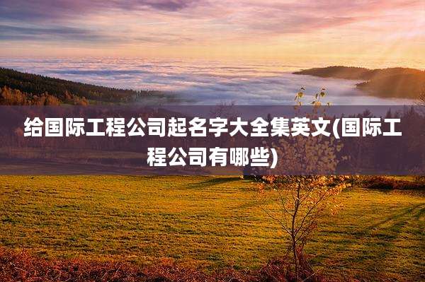 给国际工程公司起名字大全集英文(国际工程公司有哪些)