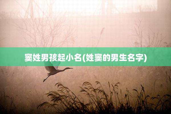 窦姓男孩起小名(姓窦的男生名字)