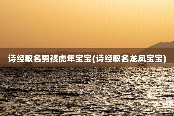 诗经取名男孩虎年宝宝(诗经取名龙凤宝宝)
