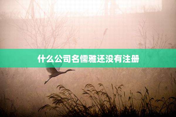 什么公司名儒雅还没有注册