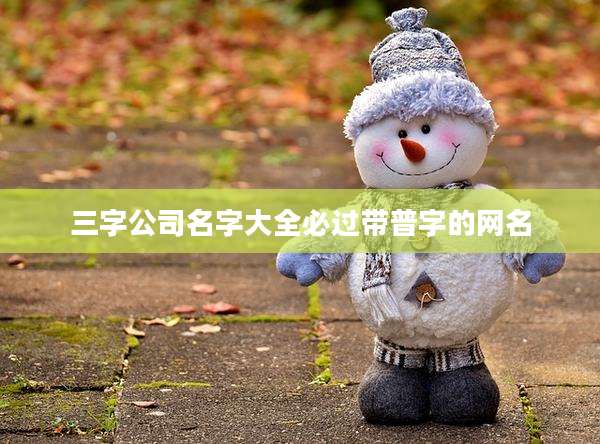 三字公司名字大全必过带普字的网名