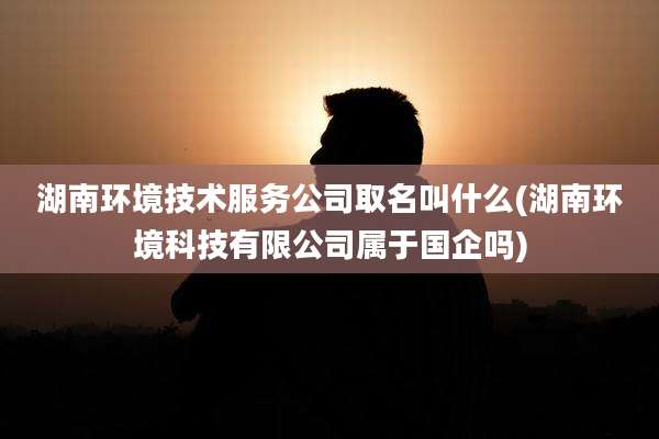 湖南环境技术服务公司取名叫什么(湖南环境科技有限公司属于国企吗)