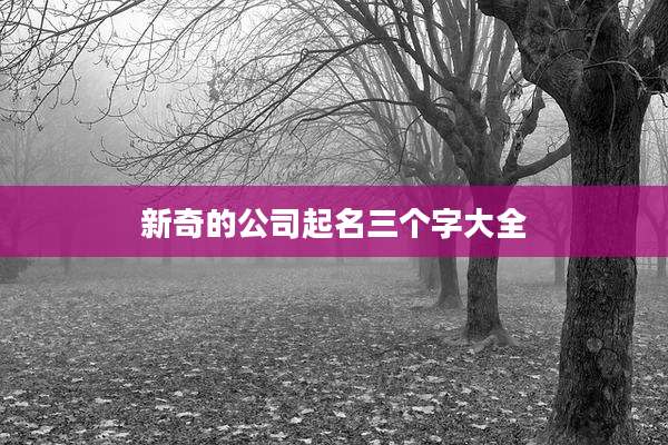 新奇的公司起名三个字大全