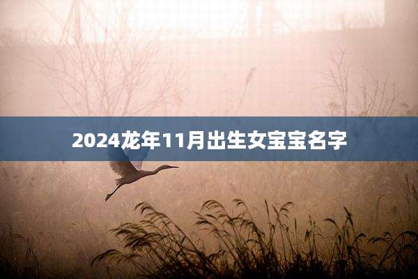 2024龙年11月出生女宝宝名字