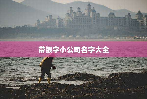 带银字小公司名字大全