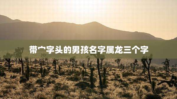 带宀字头的男孩名字属龙三个字