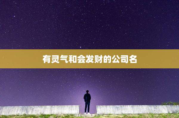有灵气和会发财的公司名