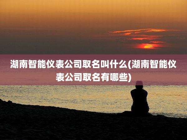湖南智能仪表公司取名叫什么(湖南智能仪表公司取名有哪些)