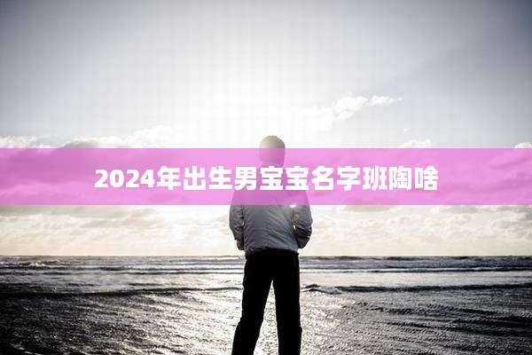 2024年出生男宝宝名字班陶啥
