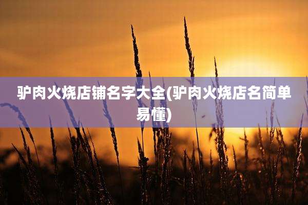 驴肉火烧店铺名字大全(驴肉火烧店名简单易懂)