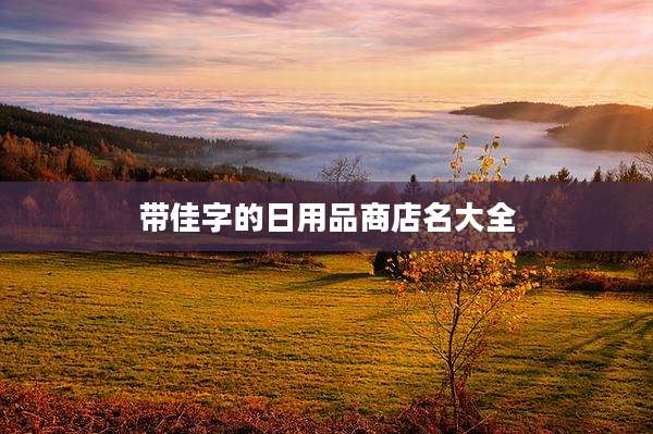 带佳字的日用品商店名大全